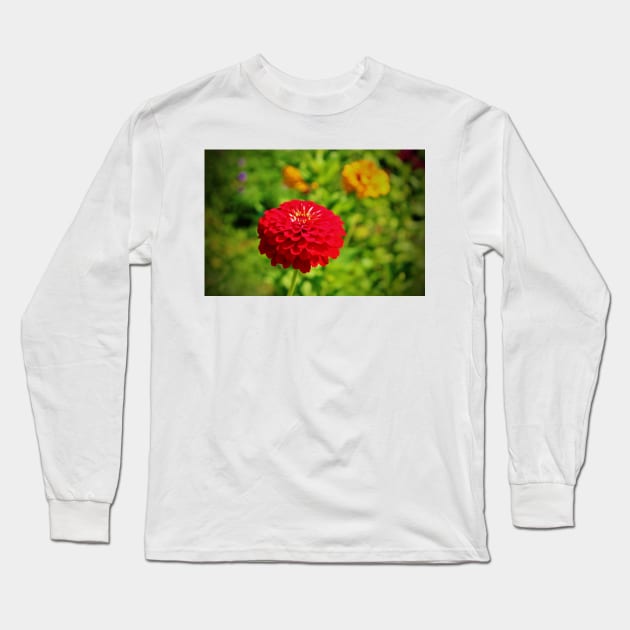 Red Zinnia Long Sleeve T-Shirt by Cynthia48